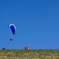FE21.17 Vogesen-Paragliding-490