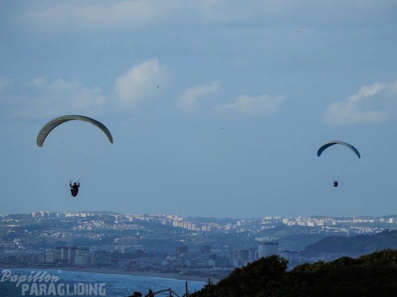 FPG 2017-Portugal-Paragliding-Papillon-151