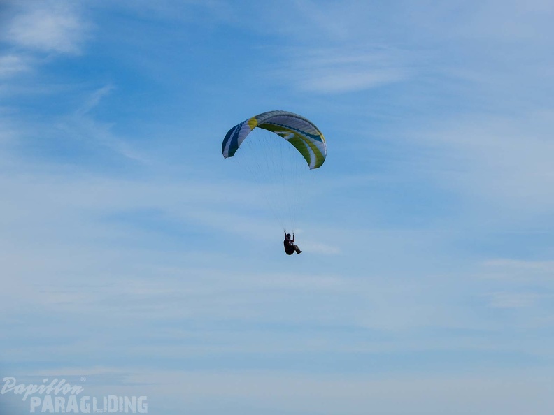FPG 2017-Portugal-Paragliding-Papillon-197