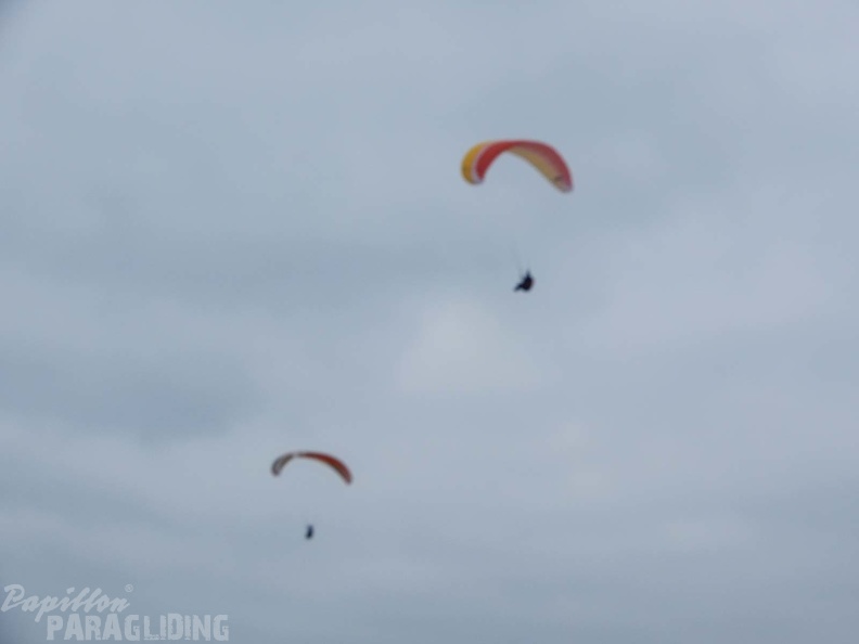 FPG_2017-Portugal-Paragliding-Papillon-312.jpg