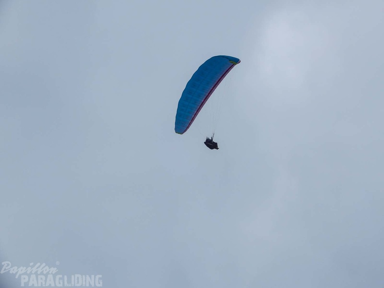FPG 2017-Portugal-Paragliding-Papillon-319