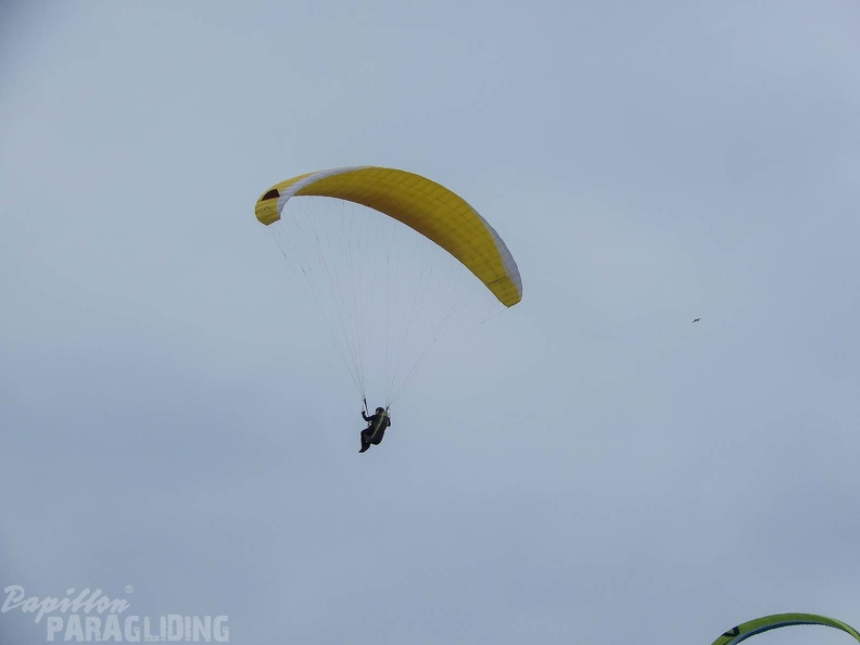 FPG_2017-Portugal-Paragliding-Papillon-324.jpg