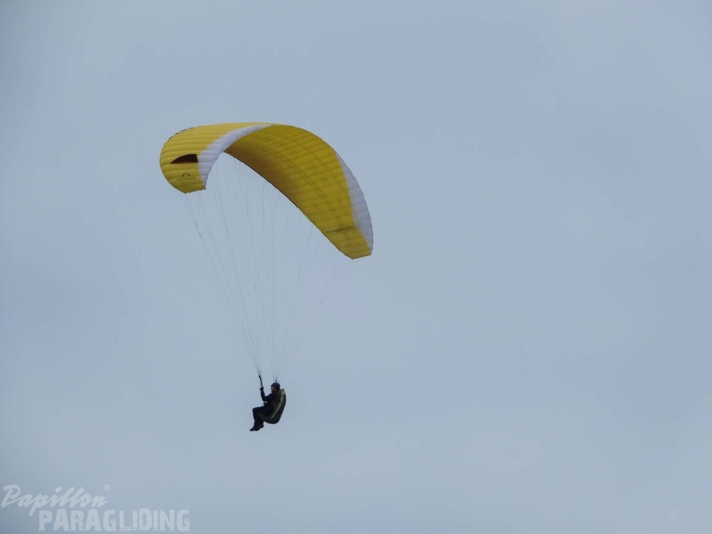 FPG_2017-Portugal-Paragliding-Papillon-331.jpg