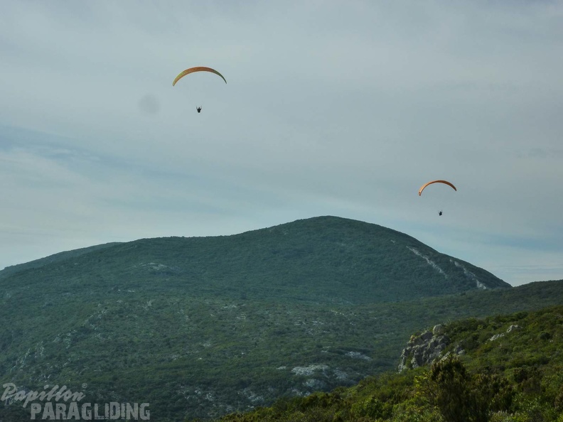 FPG_2017-Portugal-Paragliding-Papillon-362.jpg