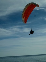 FPG 2017-Portugal-Paragliding-Papillon-430