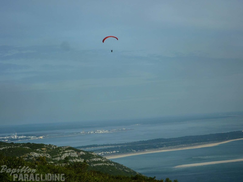 FPG 2017-Portugal-Paragliding-Papillon-441