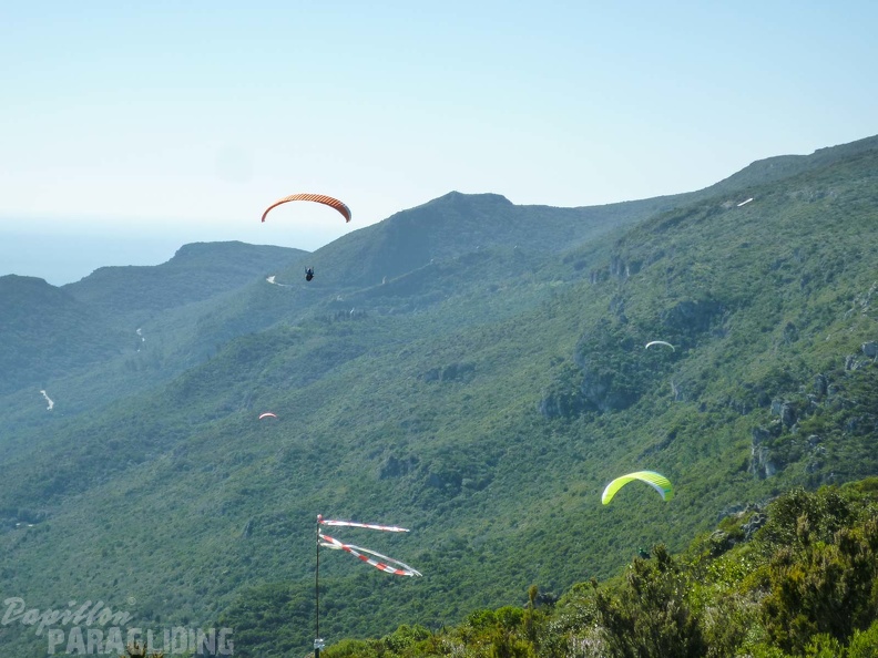 FPG 2017-Portugal-Paragliding-Papillon-470