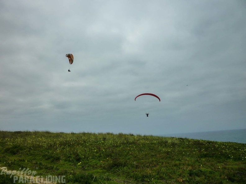 FPG 2017-Portugal-Paragliding-Papillon-726
