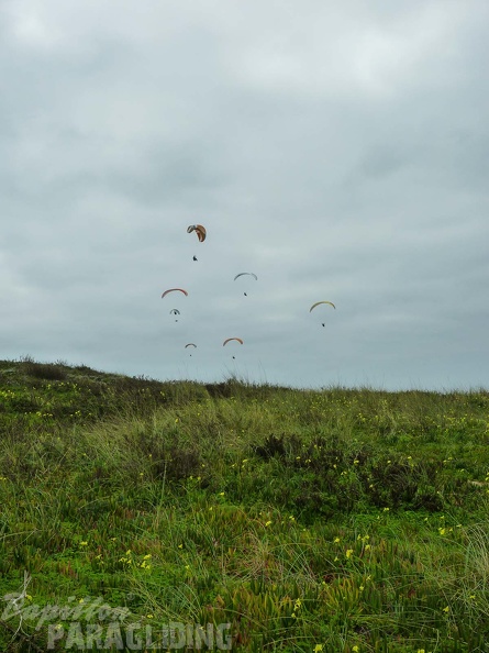 FPG 2017-Portugal-Paragliding-Papillon-748