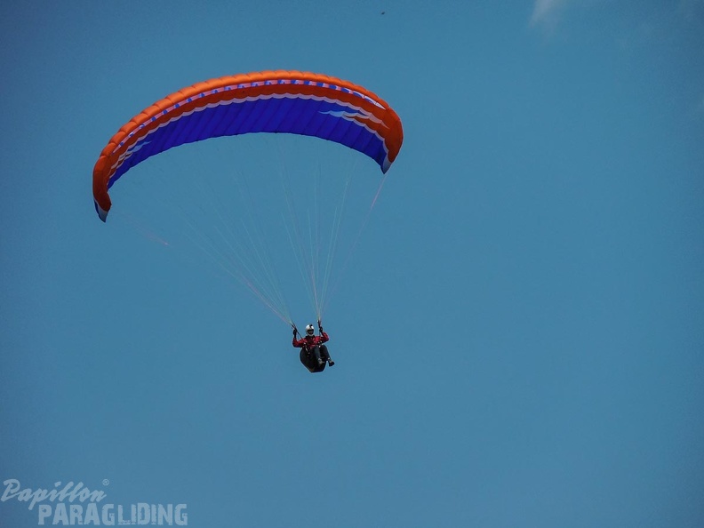 FSB30.15_Paragliding-Bled.jpg-1115.jpg