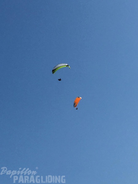 FSB30.15_Paragliding-Bled.jpg-1196.jpg