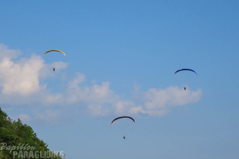 FSS19 15 Paragliding-Flugsafari-116