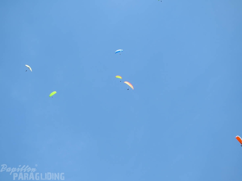 FSS19 15 Paragliding-Flugsafari-286