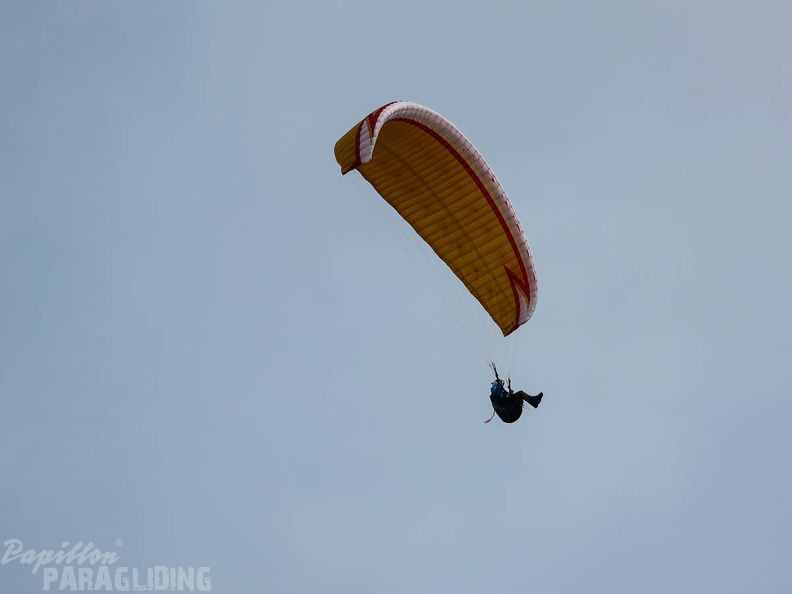 FSS19 15 Paragliding-Flugsafari-360