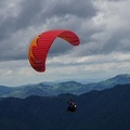 FS19.17 Slowenien-Paragliding-Papillon-316