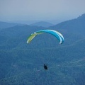 FS19.17 Slowenien-Paragliding-Papillon-376