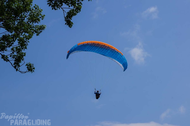 FS19.17_Slowenien-Paragliding-Papillon-413.jpg