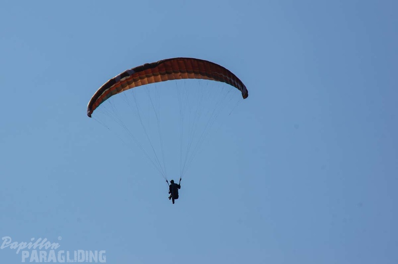 FS24.17_Slowenien-Paragliding-Papillon-165.jpg