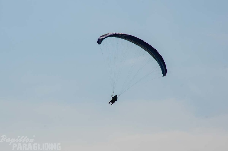 FS24.17_Slowenien-Paragliding-Papillon-196.jpg