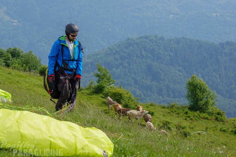 FS22.18 Slowenien-Paragliding-340