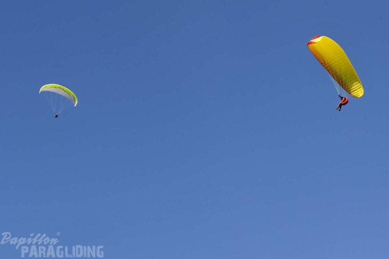 2012 FU1.12 Farfalla-Safari Paragliding 049