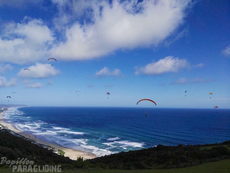 Paragliding Suedafrika FN5.17-270