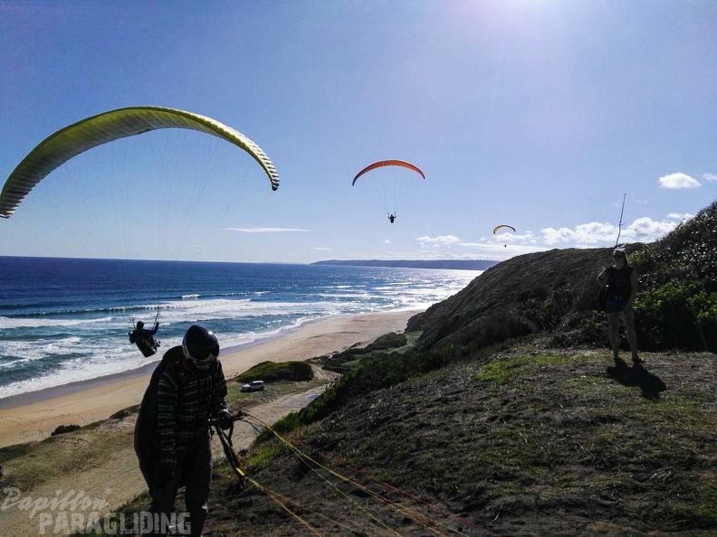 Paragliding Suedafrika FN5.17-353