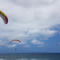 Paragliding-Suedafrika-250