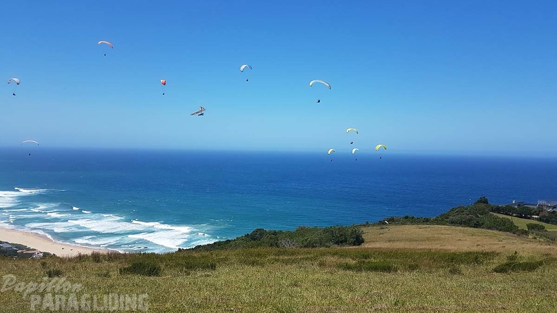 Paragliding-Suedafrika-315
