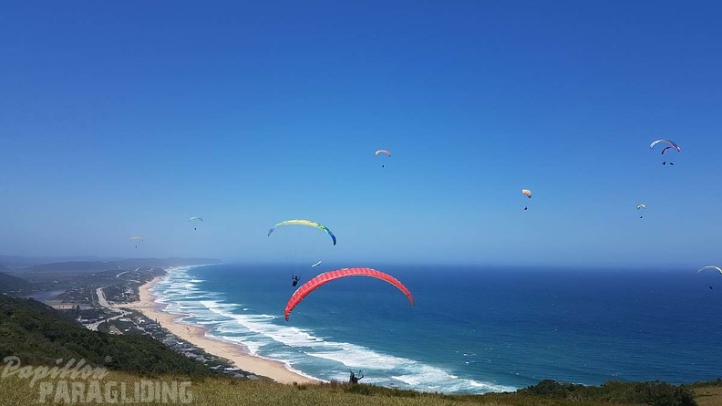 Paragliding-Suedafrika-324