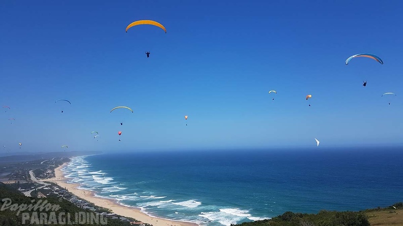Paragliding-Suedafrika-335
