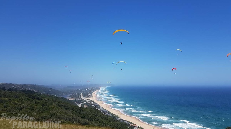 Paragliding-Suedafrika-336