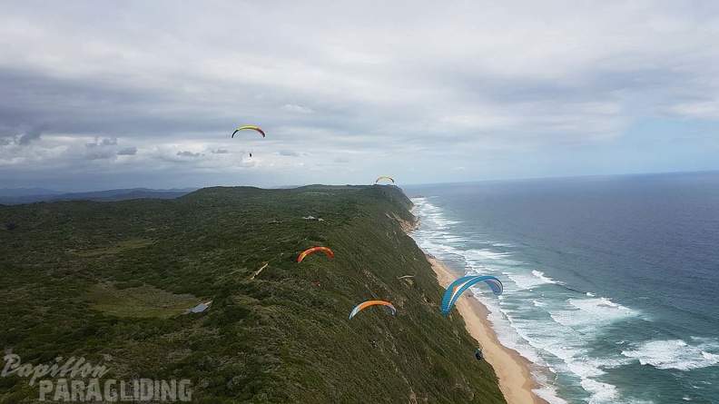 Paragliding-Suedafrika-693