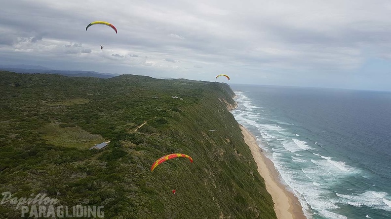Paragliding-Suedafrika-695