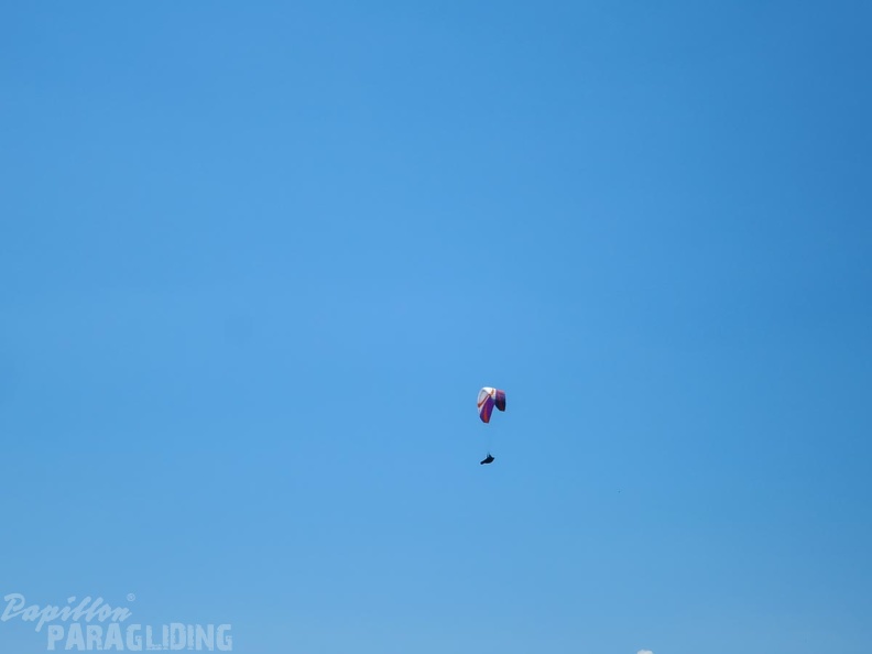 FWA26.16-Watles-Paragliding-1189.jpg