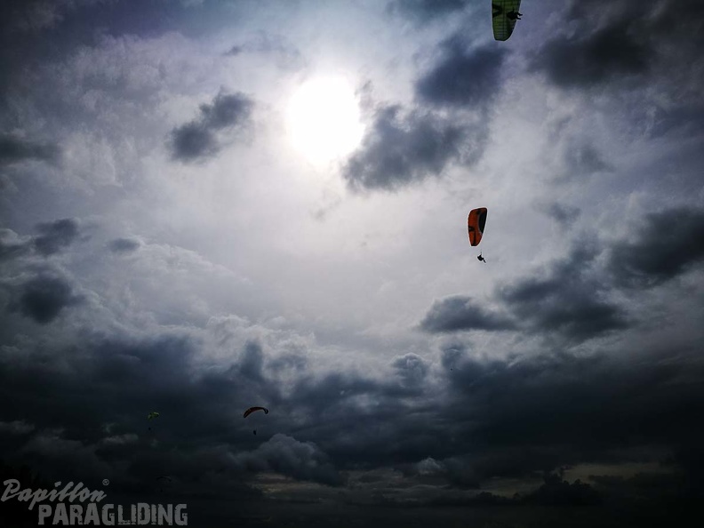 FZ37.17 Zoutelande-Paragliding-425