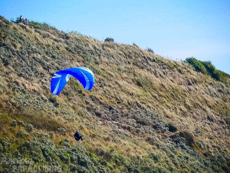 FZ38.18 Zoutelande-Paragliding-198