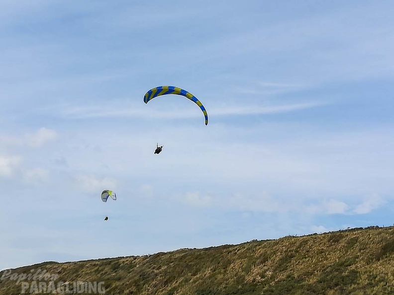 FZ37.19 Zoutelande-Paragliding-189