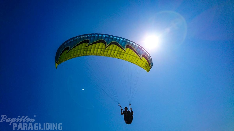 FZ37.19 Zoutelande-Paragliding-326