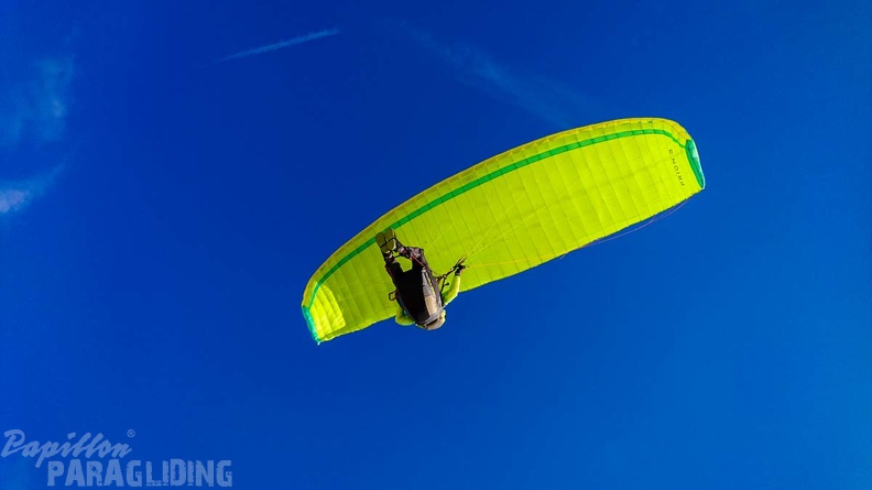 FZ37.19 Zoutelande-Paragliding-560
