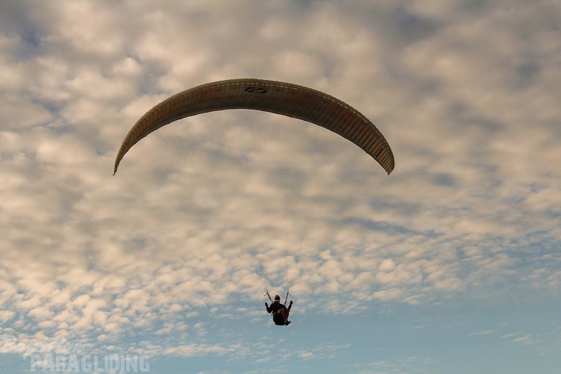 Paragliding_Zoutelande-274.jpg