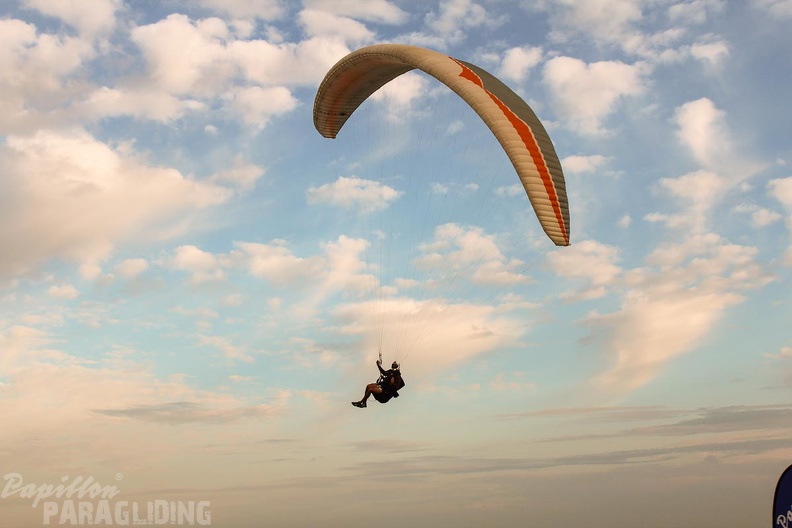 Paragliding Zoutelande-277