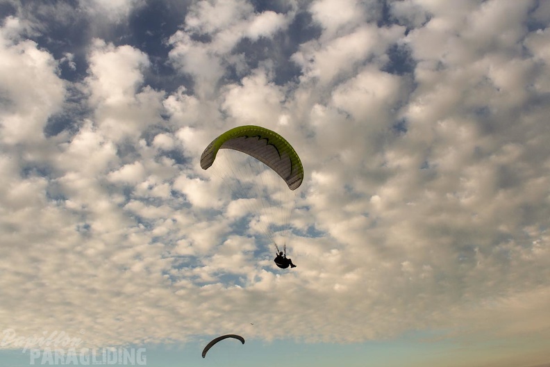 Paragliding_Zoutelande-396.jpg