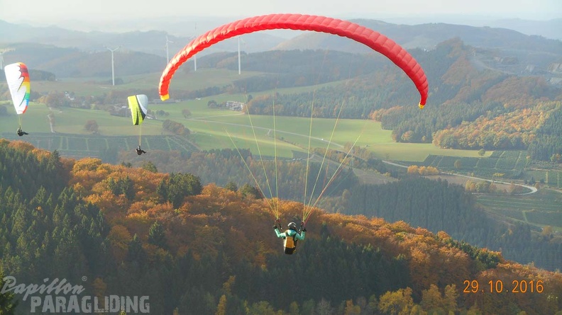 Sauerland_Paragliding.jpg-102.jpg