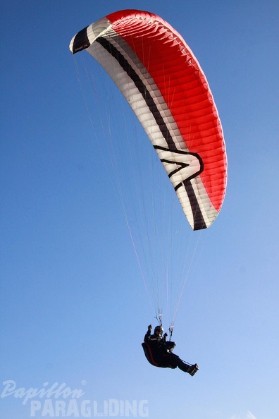 2011 RFB JANUAR Paragliding 002
