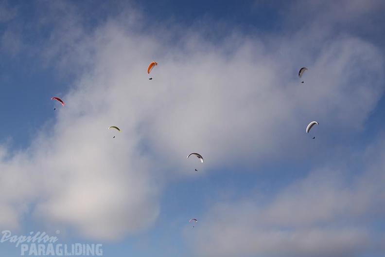 2011_RFB_JANUAR_Paragliding_060.jpg