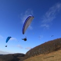 2011 RFB JANUAR Paragliding 088