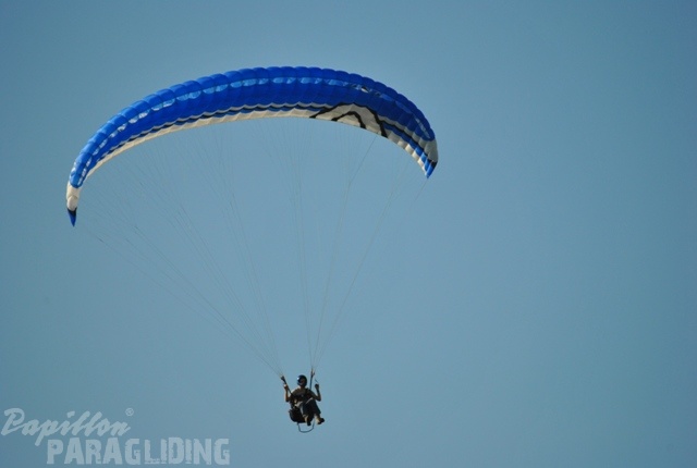 2011 RFB SPIELBERG Paragliding 031