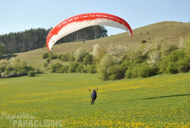 2011_RFB_SPIELBERG_Paragliding_113.jpg