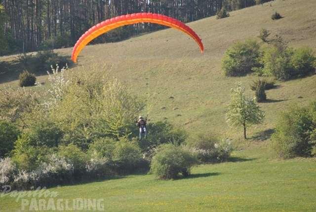2011_RFB_SPIELBERG_Paragliding_116.jpg